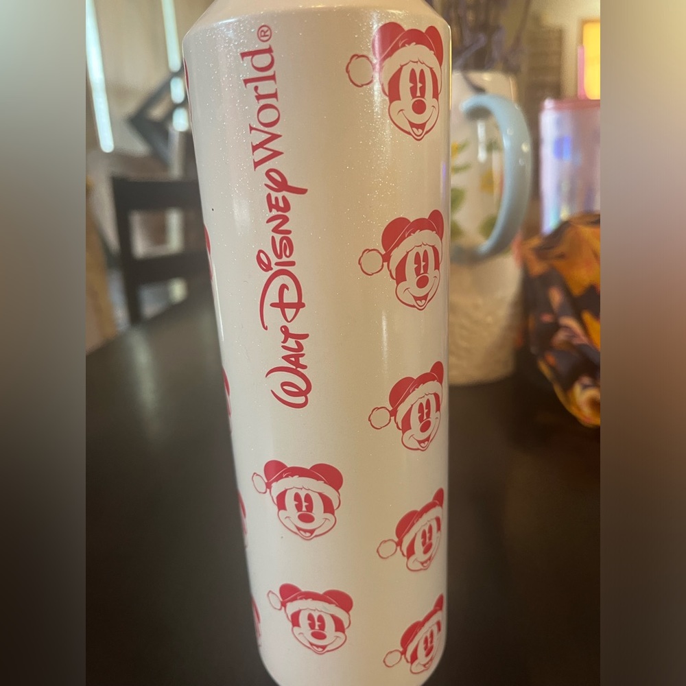 Walt Disney World Starbucks Christmas Tumbler